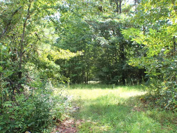 0 Old Wolf Creek Rd #0, Pell City, AL 35128