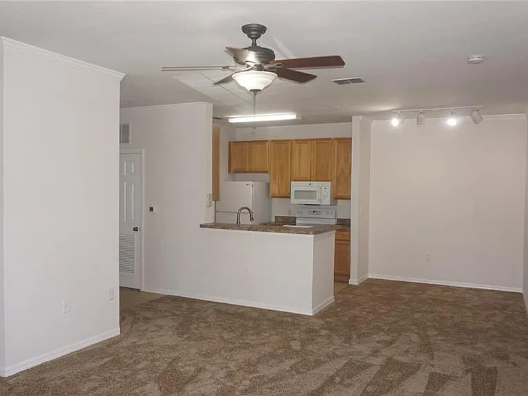 2402 Courtney Meadows Ct #101 — Photo 19