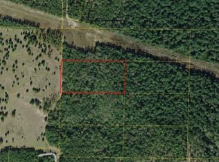 Walter Potts Rd, Altha, FL 32421