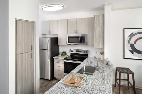 Beautifully renovated interiors with stainless steel appliances - San Carlos
