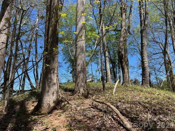 0 Crackin Chestnut Ln, Sylva, NC 28779