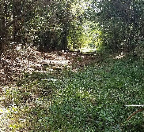 4th image of 80 Dogwood Ln