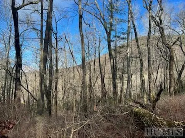 54 Ramble Ridge Road, Cashiers, NC 28717