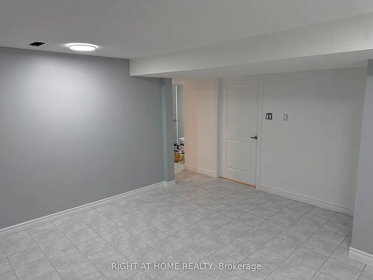 259 Tall Grass Trl #BASEMENT — Photo 7