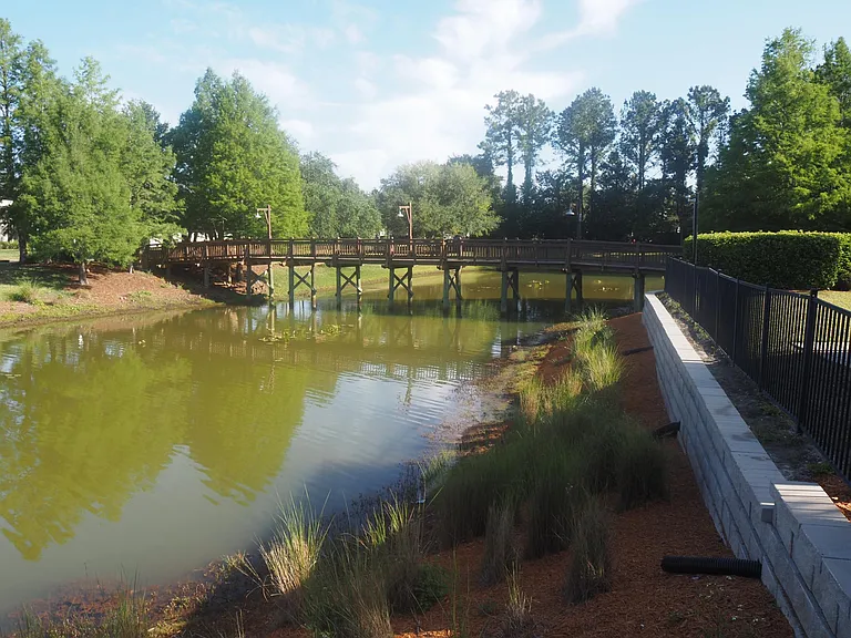 817 Crystal Spring Way — Photo 29