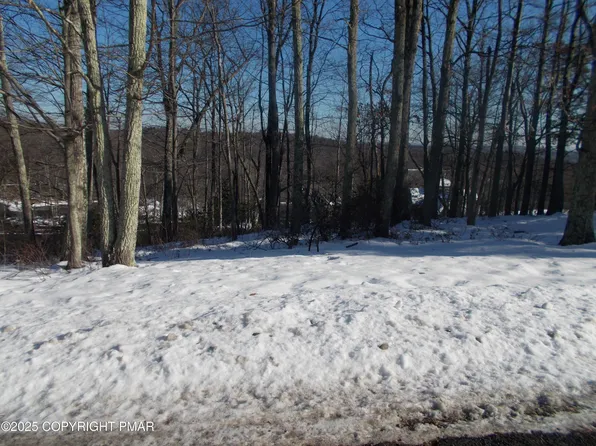 78 High Mountain Ln, Tannersville, PA 18372