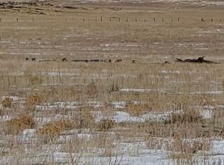 246 Montezuma Rd, Hartsel, CO 80449