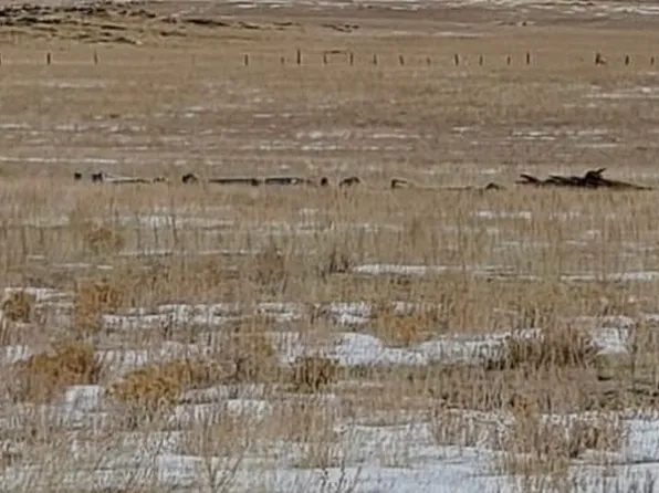 246 Montezuma Rd, Hartsel, CO 80449