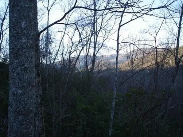 8182 Red Maple Ln #8182, Jasper, GA 30143