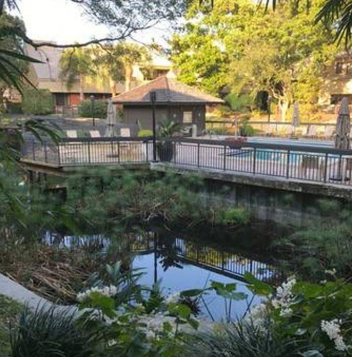 Community pool, backyard view