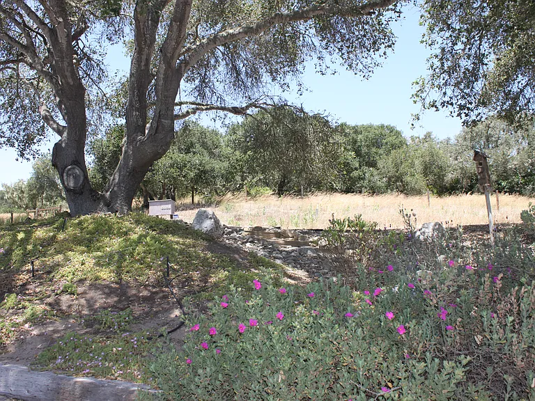 4281 E Highway 246 — Photo 86