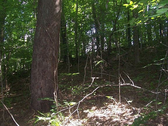 5th image of 78 Muscadine Ct Lot 78