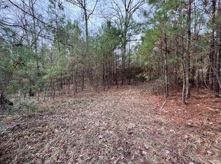 2226 Wells Landing Rd, Onalaska, TX 77360