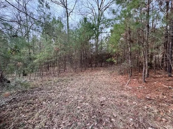 2226 Wells Landing Rd, Onalaska, TX 77360