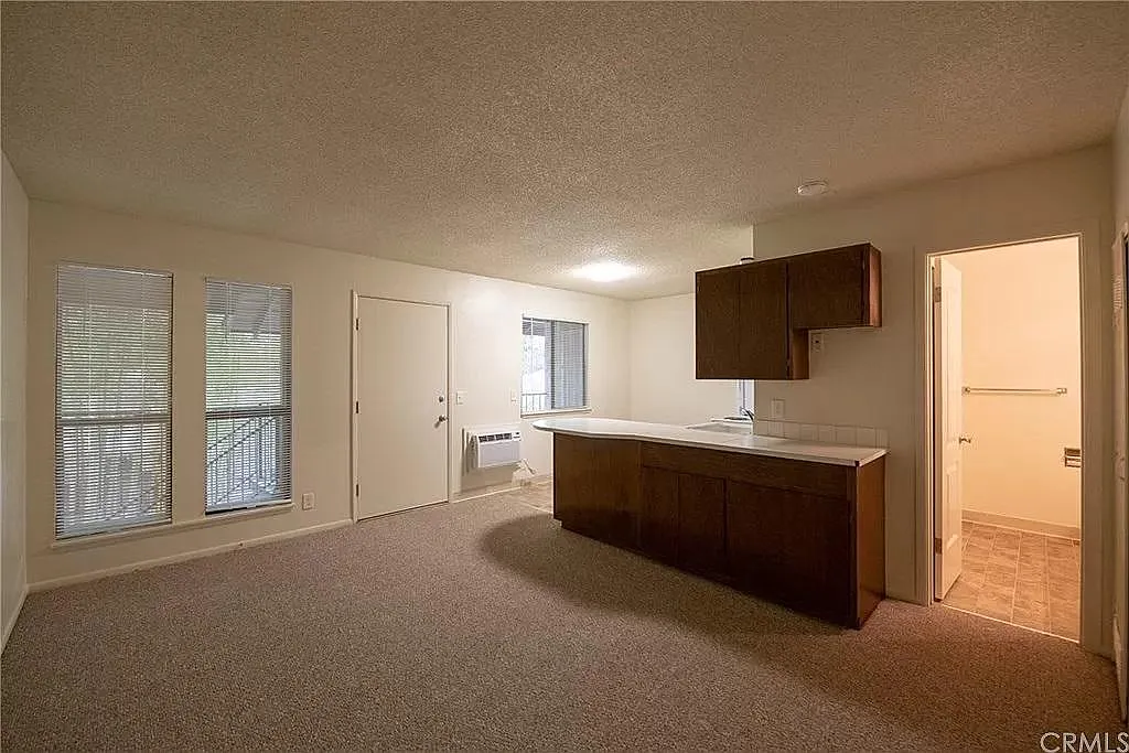 Studio, $950 — Photo 2