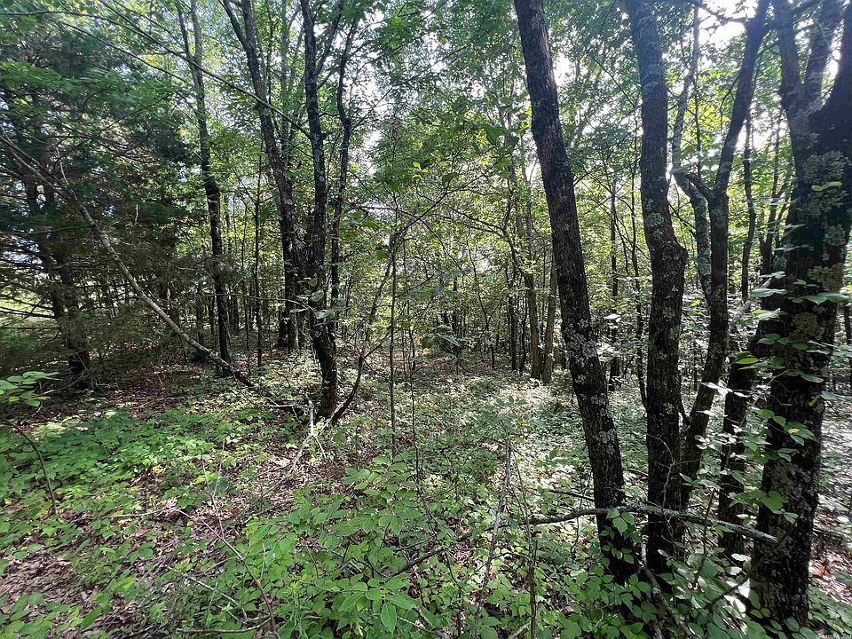 0 County Road 431, Pollard, AR 72456 MLS 23020880 Zillow