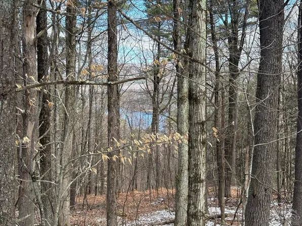 2320 Route 295, Canaan, NY 12029