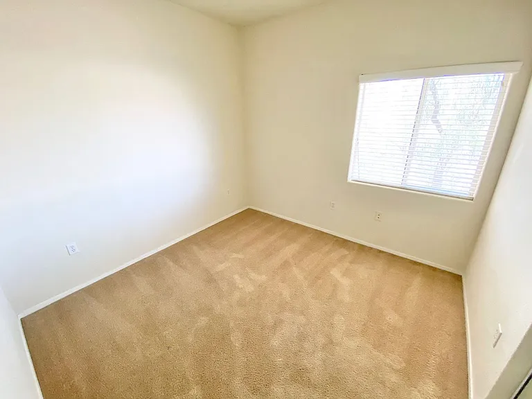 3904 Smokey Fog Ave #101 — Photo 9