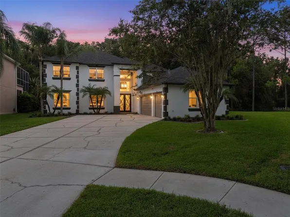 3519 LOGGERHEAD WAY, WESLEY CHAPEL, FL 33544