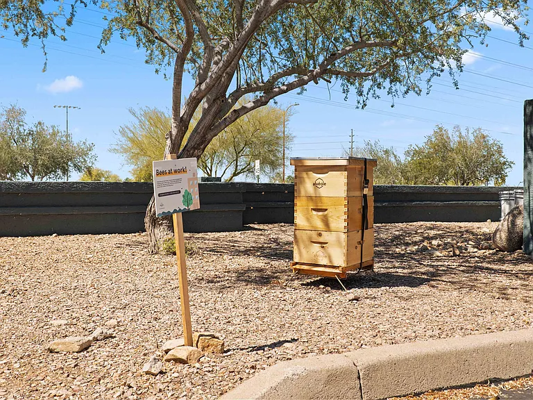 Jade Scottsdale — Photo 24