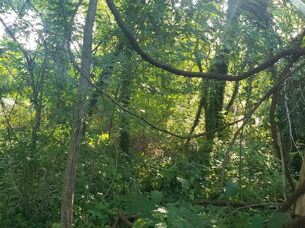 1113 Taylor Ln, Kingsport, TN 37660