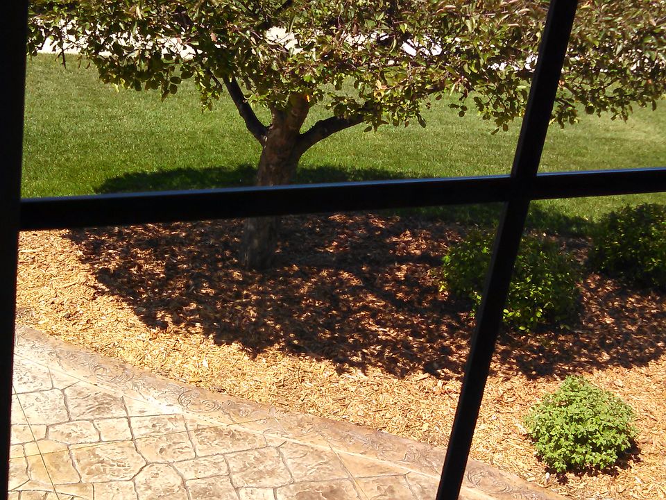Second floor view 