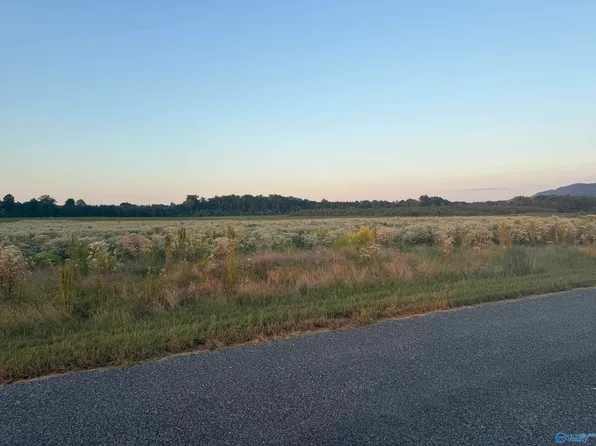 TRACT 35 County Rd #32, Centre, AL 35960