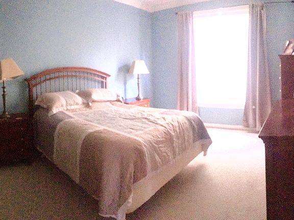 Downstairs master bedroom