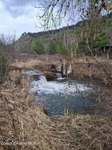 1010 Bear Creek Rd, Kingston, ID, 83839