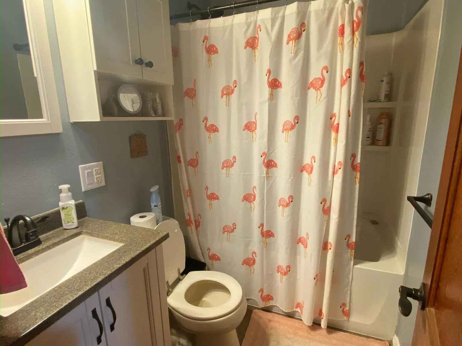 2 bed, 806 sqft, $1,350 — Photo 4