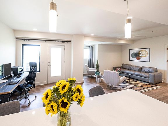 Open Kitchen/Living/WFH and or Dining area.