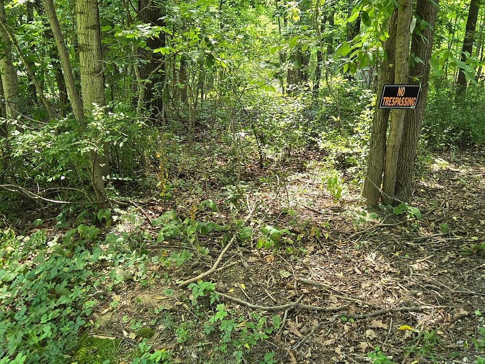 2nd image of 0 Myrna Dr N