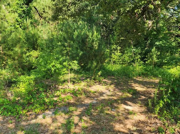 1703 Ivey St, Roanoke Rapids, NC 27870