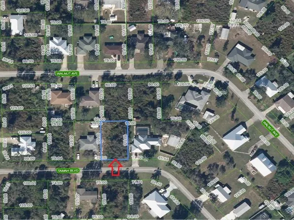 1507 Tamah Blvd Lot 131, Lake Placid, FL 33852