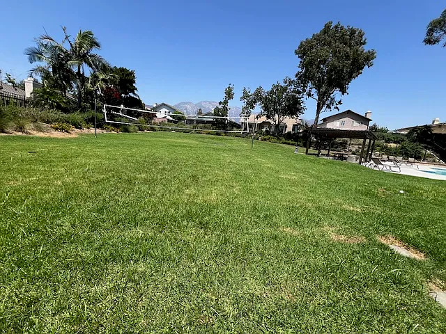 1254 Scenic View St — Photo 37