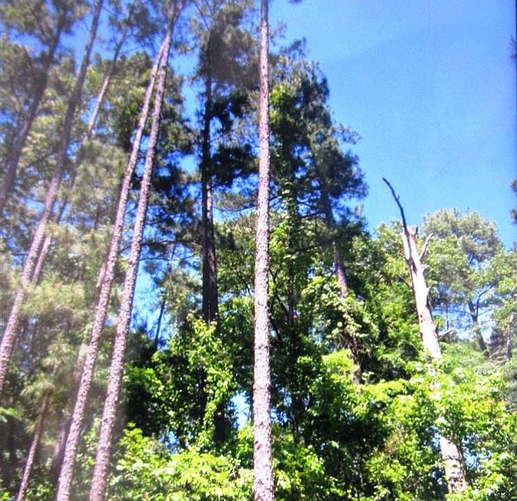 1st image of Shadywood Ln