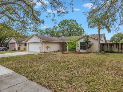 4806 Country Hills Dr, Tampa, FL, 33624