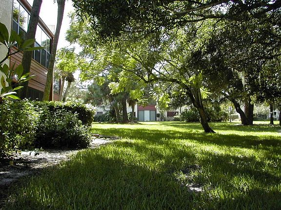 Back yard