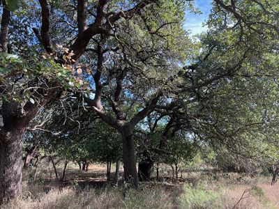 483 County Road 162, Brady, TX, 76825