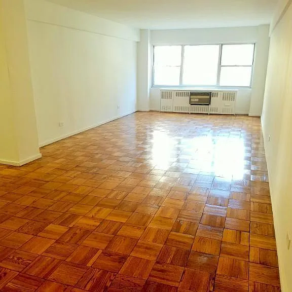 333 E 46th St #4B — Photo 3