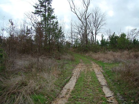 5th image of 9433 Highway 190