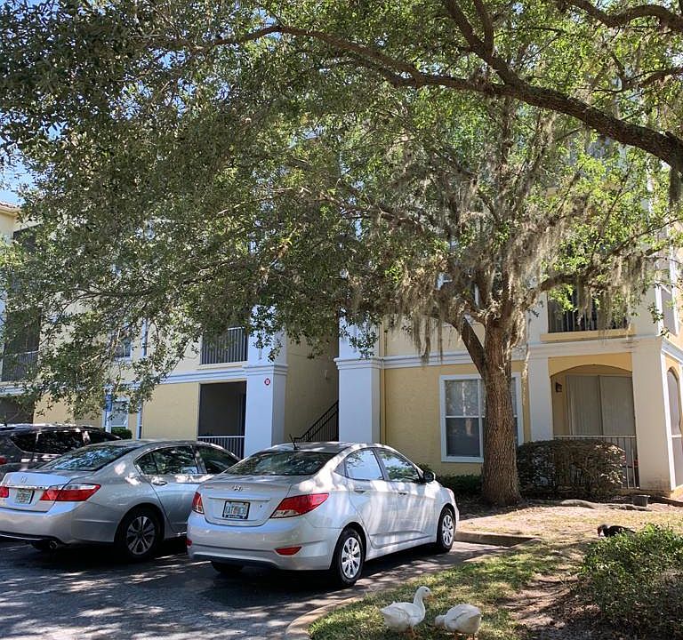 1st image of 1400 Lake Shadow Cir APT 10305