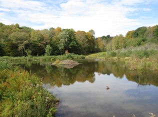 Martha Rock Rd, Conesville, NY 12076