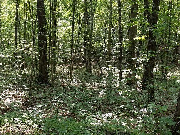 2nd image of Cherokee Ln