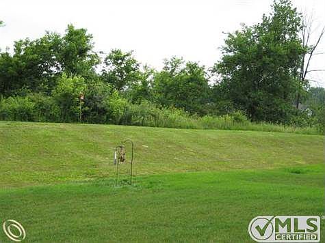 PRIVATE YARD SETTING