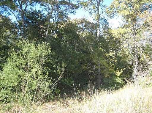 5th image of 9212 Lake Forest Ct N