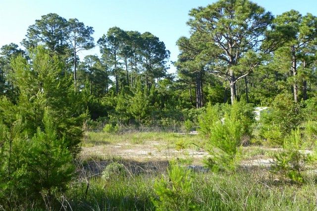 1st image of 6060 Pampas Dr