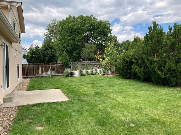 Backyard, looking west