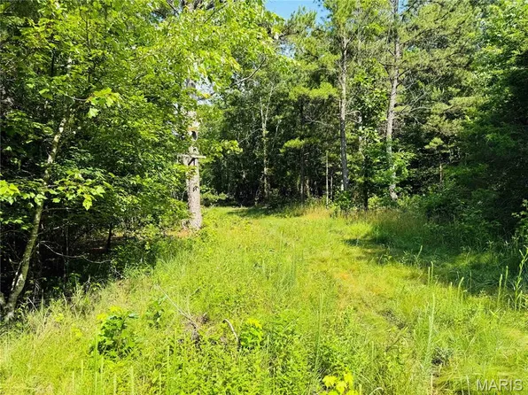 0 Bb Hwy, Fairdealing, MO 63939