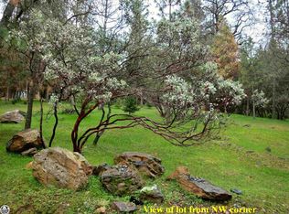 19081 Jimmie Bell St #7-157, Groveland, CA 95321